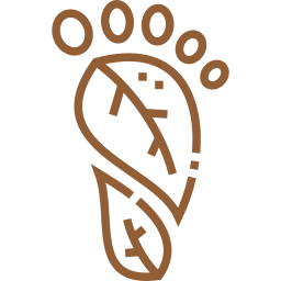 Carbon Footprint